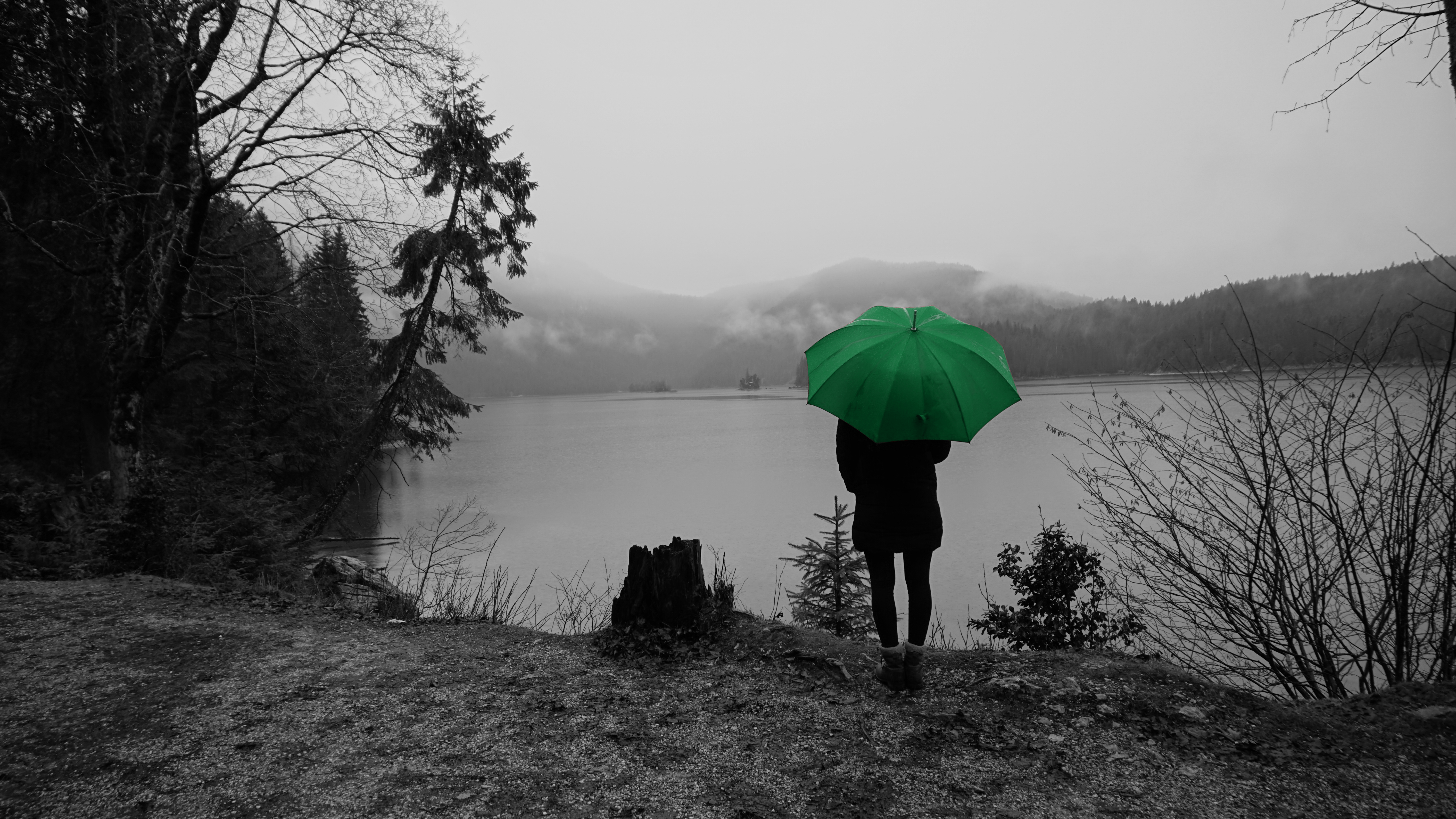 Connors - Green Umbrella