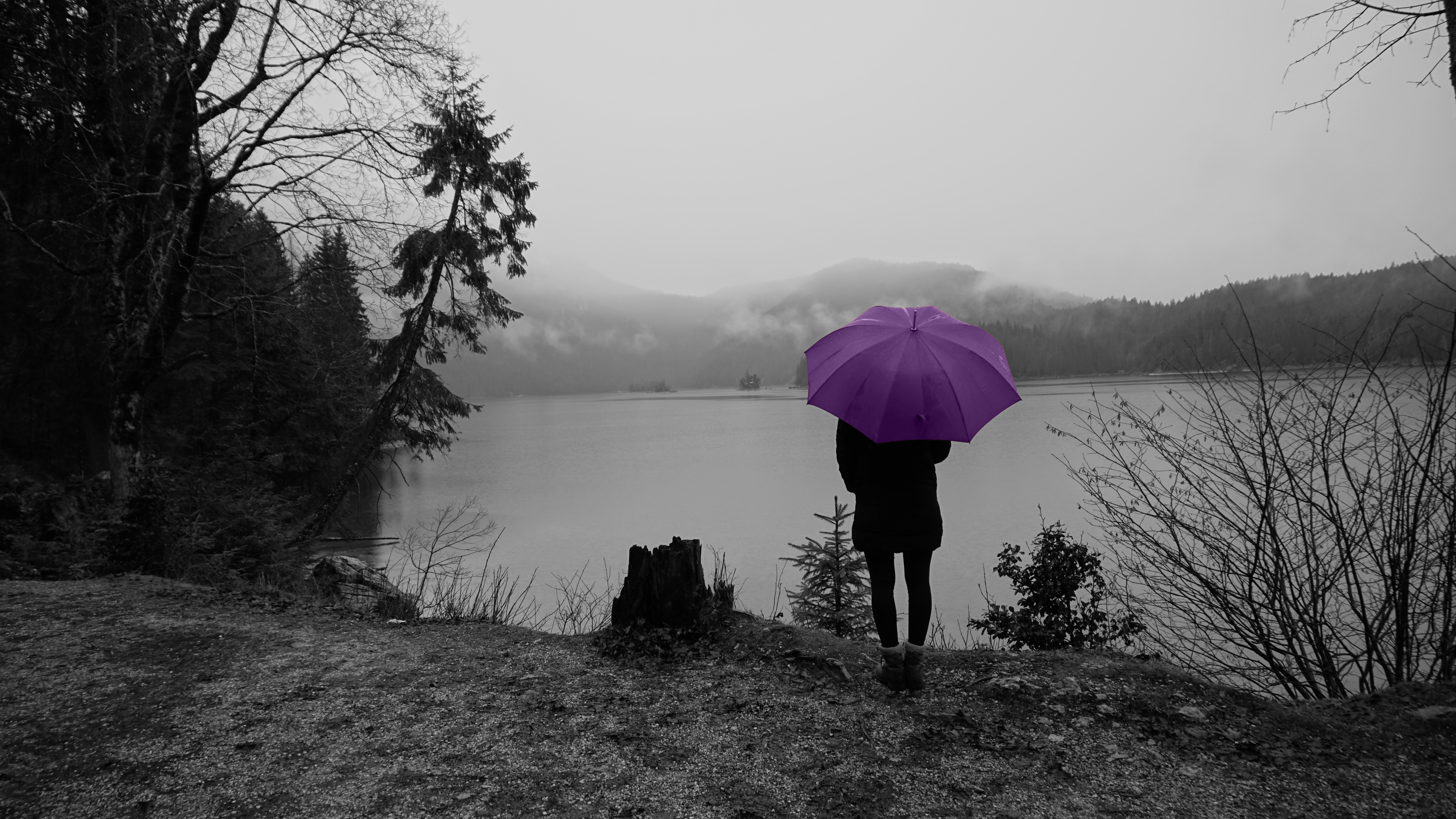 Purple Connors